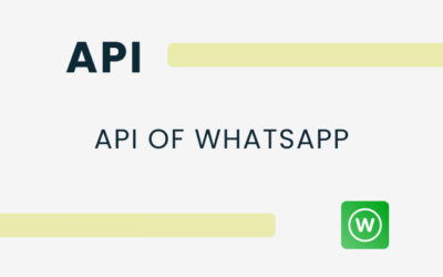 API van WhatsApp: Real-time berichtenuitwisseling in je software bouwen