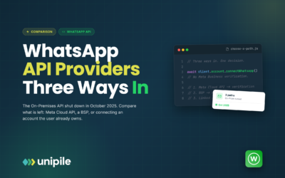 WhatsApp API Providers: Cloud API, BSP or Connected Account